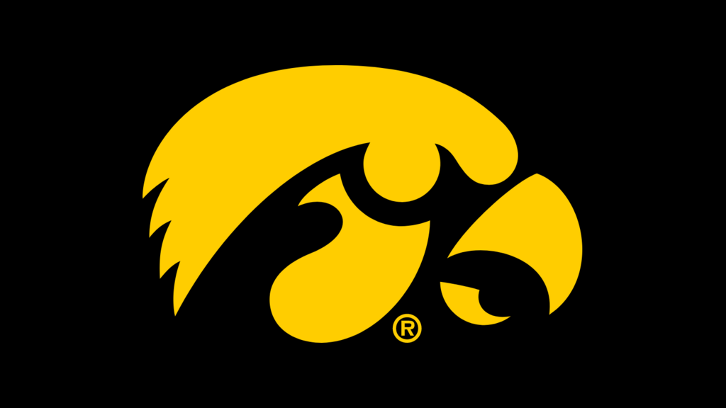 Tigerhawk